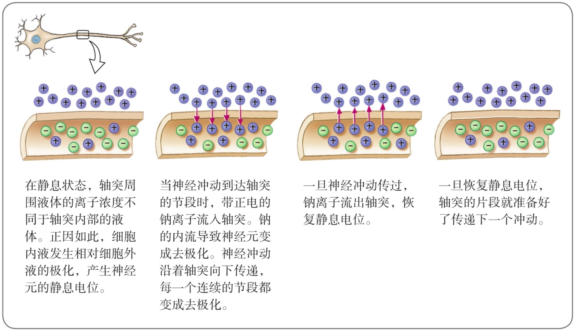image-20260120211807383