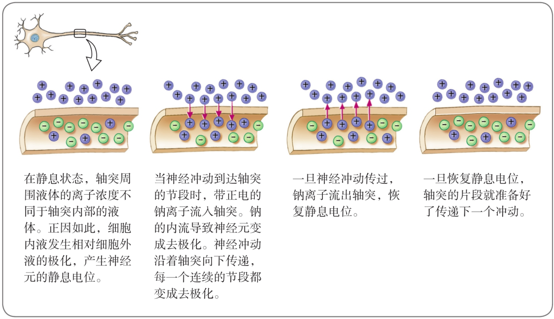 image-20260120211807383