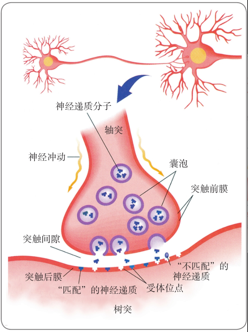 image-20260121174923956